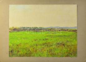 Sárdy Brutus (1892-1970): Zöld rét, 1962. Olaj, vászon, jelezve balra lent, vakráma nélkül, kartonra...