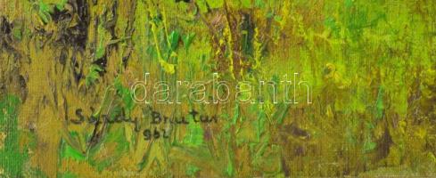 Sárdy Brutus (1892-1970): Zöld rét, 1962. Olaj, vászon, jelezve balra lent, vakráma nélkül, kartonra...