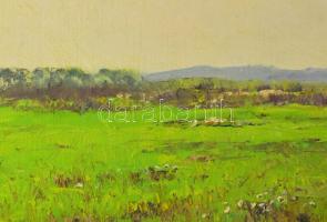 Sárdy Brutus (1892-1970): Zöld rét, 1962. Olaj, vászon, jelezve balra lent, vakráma nélkül, kartonra...