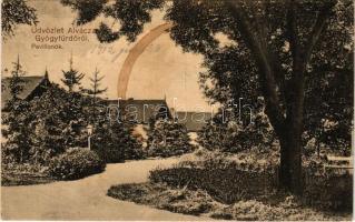 1912 Alváca, Vata de Jos (Hunyad); Gyógyfürdő, pavilonok / spa pavilions (fl)