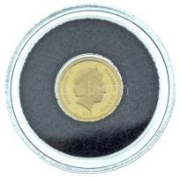 Salamon-szigetek 2013. 1$ Au "A világ hét új csodája - Taj Mahal" kapszulában (0,5g/0,585) T:PP Solomon Islands 2013. 1 Dollar Au "New Seven Wonders of the World - Taj Mahal" in capsule (0,5g/0,585) C:PP Krause KM#275