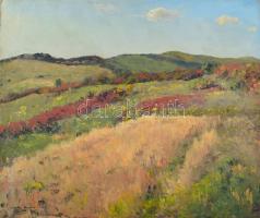 Sárdy Brutus (1892-1970): Dombos táj, 1963. Olaj, vászon, jelezve balra lent, vakráma nélkül. 43x55,5 cm.
