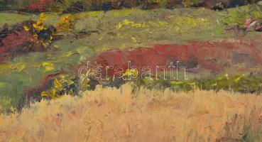 Sárdy Brutus (1892-1970): Dombos táj, 1963. Olaj, vászon, jelezve balra lent, vakráma nélkül. 43x55,...