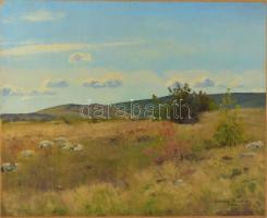 Sárdy Brutus (1892-1970): Hegyvidéki táj, 1933. Olaj, vászon, jelezve jobbra lent, vakráma nélkül, kartonra kasírozva. 42x51,5 cm.