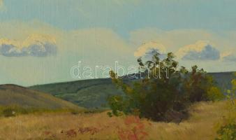 Sárdy Brutus (1892-1970): Hegyvidéki táj, 1933. Olaj, vászon, jelezve jobbra lent, vakráma nélkül, k...
