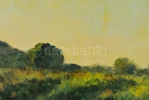 Sárdy Brutus (1892-1970): Zöldellő táj, 1966. Olaj, vászon, jelezve jobbra lent, vakráma nélkül, kar...