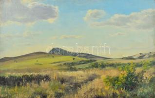 Sárdy Brutus (1892-1970): Hegyvidék, 1950-es évek. Olaj, vászon, jelezve balra lent, vakráma nélkül....