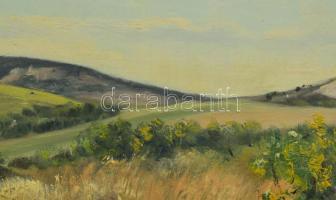 Sárdy Brutus (1892-1970): Hegyvidék, 1950-es évek. Olaj, vászon, jelezve balra lent, vakráma nélkül....