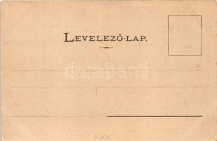 Arad, Széchenyi utca, sörcsarnok és étterem, Első Magyar Általános Biztosító, üzletek, piac. Divald ...