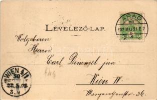 1902 Arad, Szabadság tér, városi vasút, vonat, Rosenberg József, Limbeck János üzlete, pálinka, piac...