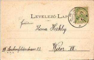 1904 Arad, Vörösmarty utca, Moskovitz Zs. üzlete, borgyári raktár / street, shops (EK)