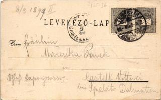 1899 Temesvár, Timisoara; M. kir. áll. tanítóképezde, Gyárváros, Kossuth tér, Coronini tér, Andrássy...