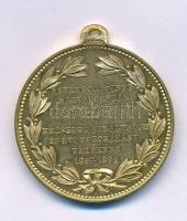1892. "I. Ferencz József és Erzsébet 1892 / I. Ferencz József Magyarország Apostoli Királya és Erzsébet Királynője 25 évi koronázási emlékére 1867-1892" kétoldalas, aranyozott bronz emlékérem füllel és "MAGY. EGYES. MŰV. (Magyar Egyesült Művészek)" gyártói jelzéssel (31mm) T:AU,XF, enyhe aranyozás kopás Hungary 1892. "25th Anniversary of the Coronation of Ferencz Joseph and Elisabeth" two-sided, gilded bronze medal with ear, with "MAGY. EGYES. MŰV." (Hungarian United Artists) maker's mark (31mm) C:AU,XF, gild slightly worn