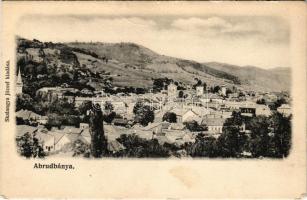 Abrudbánya, Abrud; látkép. Skalangya József kiadása / general view (fa)