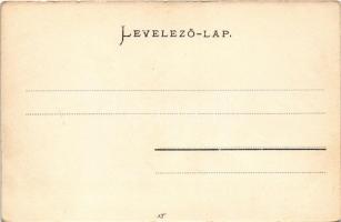 Abrudbánya, Abrud; látkép. Skalangya József kiadása / general view (fa)