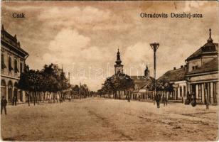 Csák, Csákova, Ciacova; Obradovits Doszitej utca / street view (fl)