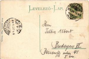 1905 Nagykikinda, Kikinda; Ferenc József tér éjjel, Nemzeti szálloda. Wolf Józsefné kiadása, humoros...