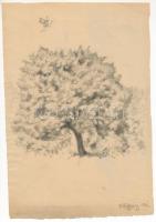 Glatz Henrik (Glatz Oszkár fia): Tájrészlet 1921. Ceruza, papír. Jelzett. 26×17,5 cm.