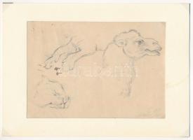 Glatz jelzéssel (Glatz Oszkár vagy fia, Henrik?), kétoldalas mű: Állat tanulmányok (elefánt, teve, macskaféle). Ceruza, papír. Paszpartuban. 11×16 cm.