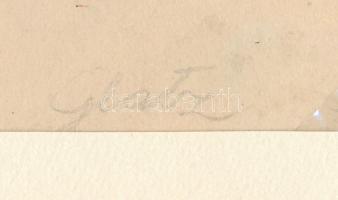 Glatz jelzéssel (Glatz Oszkár vagy fia, Henrik?), kétoldalas mű: Állat tanulmányok (elefánt, teve, m...