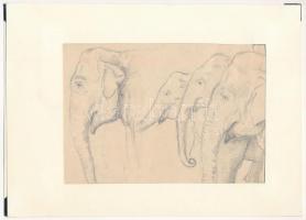 Glatz jelzéssel (Glatz Oszkár vagy fia, Henrik?), kétoldalas mű: Állat tanulmányok (elefánt, teve, m...