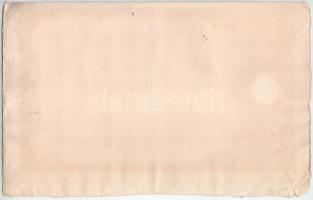 Budapest 1895. "Salgó-Tarjáni Kőszénbánya Részvénytársulat" részvénye 100K-ról, magyar-ném...