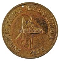 Románia 1976. "Nemzetközi Kutyakiállítás - Temesvár" kétoldalas, aranyozott, öntött fém emlékérem (70mm) T:XF, karcok, lyukasztott Romania 1976. "Timisoara / Expozitia Canina Internationala" (International Dog Show - Timisoara) two-sided, gilded, cast metal commemorative medallion (70mm) C:XF, scratches, holed