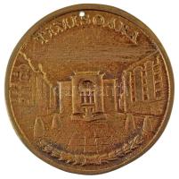 Románia 1976. "Nemzetközi Kutyakiállítás - Temesvár" kétoldalas, aranyozott, öntött fém em...