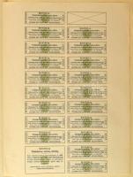 Budapest 1914. "Szlavoniai H. É. (Helyi Érdekű) Vasut-Részvény-Társaság" törzsrészvénye 40...