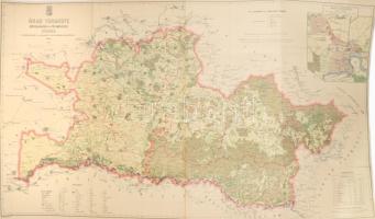 1906 Arad vármegye közigazgatási és földmívelési térképe. Szerk. és nyom. a m. kir. állami nyomdában. 1 : 144.000. (Rajta Arad és környéke, 1 : 36.000.) A hajtások mentén és a lap szélén kisebb sérülésekkel, ragasztott, 69x115 cm