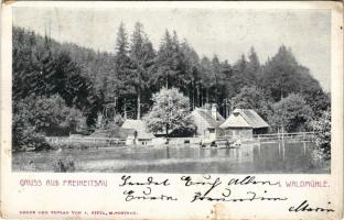 1903 Háj ve Slezsku, Freiheitsau; I. Waldmühle / mill (worn corners)