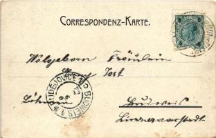 1903 Háj ve Slezsku, Freiheitsau; I. Waldmühle / mill (worn corners)