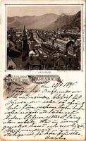 1895 (Vorläufer!!!) Karlovy Vary, Karlsbad; Gruss aus. Art Nouveau, floral, litho - early postcard! (EB)