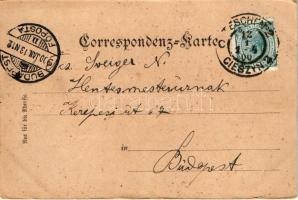 1900 Cieszyn, Teschen; Schloss mit Olsabrücke / castle, bridge (EB)