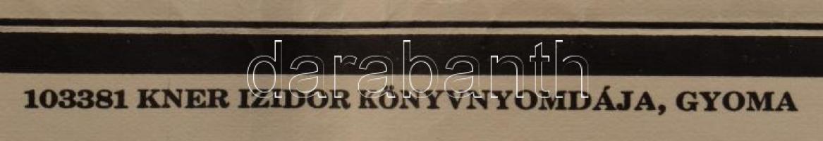 ca 1920 Szikszói takarékpénztár rt. plakát. Kner nyomda, Gyoma, szélén apró lyukakkal 46x64 cm