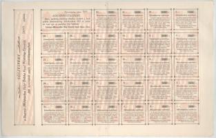 Budapest 1908. "Szatmár-Mátészalkai Helyi Érdekű Vasút Részvénytársaság" törzsrészvénye 20...