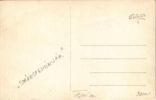 1928 Székesfehérvár, Dr. Prohászka Ottokár síremléke. Wellington photo (EK)