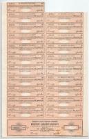 1912. Budapest "Budapesti Közúti Vaspálya Társaság" névre szóló részvénye 200K / 100Ft-ról...