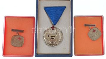 DN (1970 k) "Kiváló Véradó" ezüst fokozat miniatűrrel, eredeti dísztokban (~40mm) + "10 véradásért" + "15 véradásért" festett, műgyantás jelvények műanyag tokban T:AU