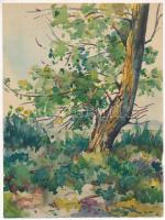 Mendlik Lajos (1903-1985): Balatonszabadi. Akvarell, papír, jelzés nélkül, hátoldalán Mendlik Lajos autográf feliratával, apró lapszéli sérüléssel, 24×18 cm