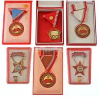1965. "Szolgálati Érdemérem - A Haza Fegyveres Szolgálatában" 15, 20 és 25 év után műgyantás bronz kitüntetések mellszalagon, szalagsávval, eredeti, sérült tokban (3xklf) + DN(~1970) "Kiváló Munkáért" aranyozott, rátétes, műgyantás kitüntetés mellszalagon, dobozban + 1970. "Kiváló Dolgozó" aranyozott, műgyantás fém kitüntetés miniatűrrel, műanyag tokban (2xklf) T:AU,XF, tok hiba