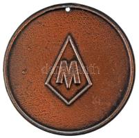 1989. "Megamorv Petőfi Expedíció 1823-1856" kétoldalas, öntött, bronzpatinázott Al emlékér...