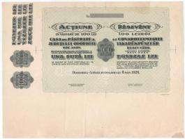 Románia / Székelyudvarhely 1926. "Udvarhelymegyei Takarékpénztár Részvénytársaság" részvénye 100L-ről, sorszám nélküli MINTA látható illesztőkeretekkel T:F Romania / Odorheiu 1926. "Udvarhelymegyei Takarékpénztár Részvénytársaság" share about 100 Lei, SPECIMEN without serial numbers, with visible printig frames C:F