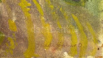 Faddi Förstner Dénes (1901-1945): Vízparti táj. Olaj, vászon. Jelezve jobbra lent. 60x50 cm. Dekorat...