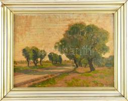 Zombory Lajos (1867-1933): Alföldi táj sétálókkal. Olaj, karton, jelezve jobbra lent. Hátoldalán Zombory Lajos bélyegzéssel. Dekoratív fakeretben, 35,5×48 cm.
