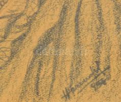 Olvashatatlan jelzéssel: Fiatal hölgy arcképe. Ceruza, papír, jelzett. Dekoratív, üvegezett fakeretb...