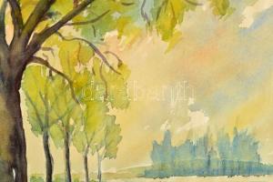 Olvashatatlan jelzéssel: Atmoszférikus táj. Akvarell, papír. Dekoratív fakeretben, 40x29,5 cm