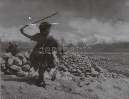 ca 1940 Művészfotók 8 db negatív csík