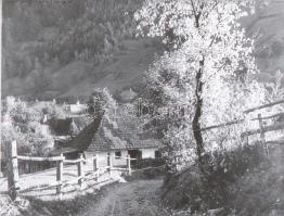 ca 1940 Művészfotók 8 db negatív csík