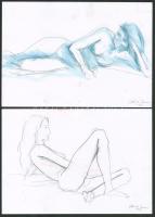 Olbert Mariann (1973-), össz. 7 db mű: Női akt. Ceruza, akvarellceruza, papír. Mindegyik jelzett. 16...